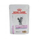 【特別療法食】ロイヤルカナン　猫用　腎臓サポート　チキンテイスト　パウチ　85G