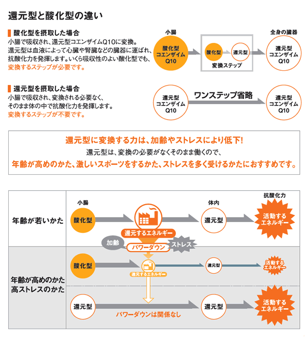 Q10 プラチナリッチ 60粒入 還元型Q10配合 | ウエルシアドットコム