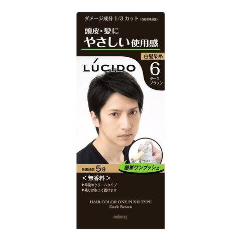 マンダム ルシード ワンプッシュケアカラー ダークブラウン【1月7日までの期間特売】