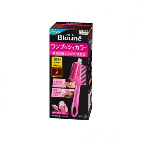 花王 ブローネ ワンプッシュカラー 5 ブラウン 80G【ボーナスTポイントとして10倍】※2月4日まで