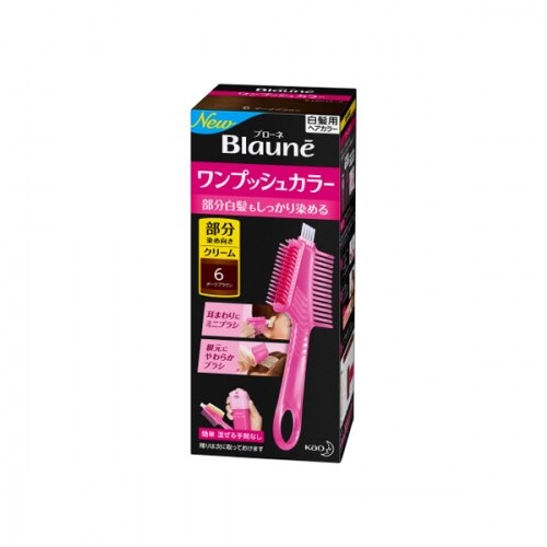 花王 ブローネ ワンプッシュカラー 6 ダークブラウン 80G【ボーナスTポイントとして10倍】※2月4日まで