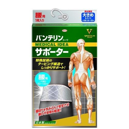 興和新薬 バンテリンサポーター 腰用 L シャイニンググレー 1個