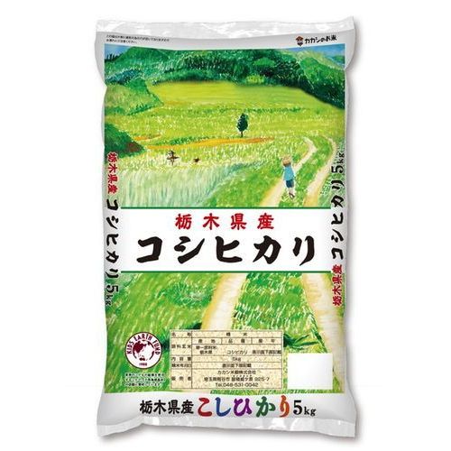 栃木産　コシヒカリ米/穀物