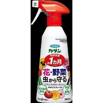 カダンスプレーEX260ML