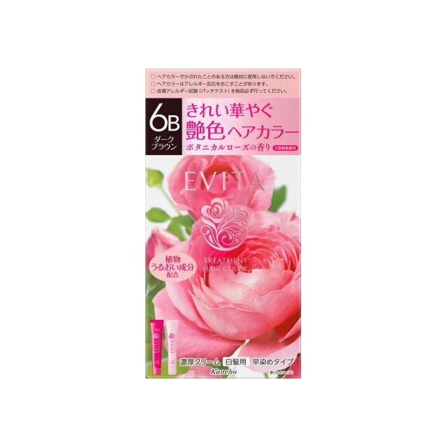カネボウ　エビータ　トリートメントヘアカラー　6B　◇1剤45G◇