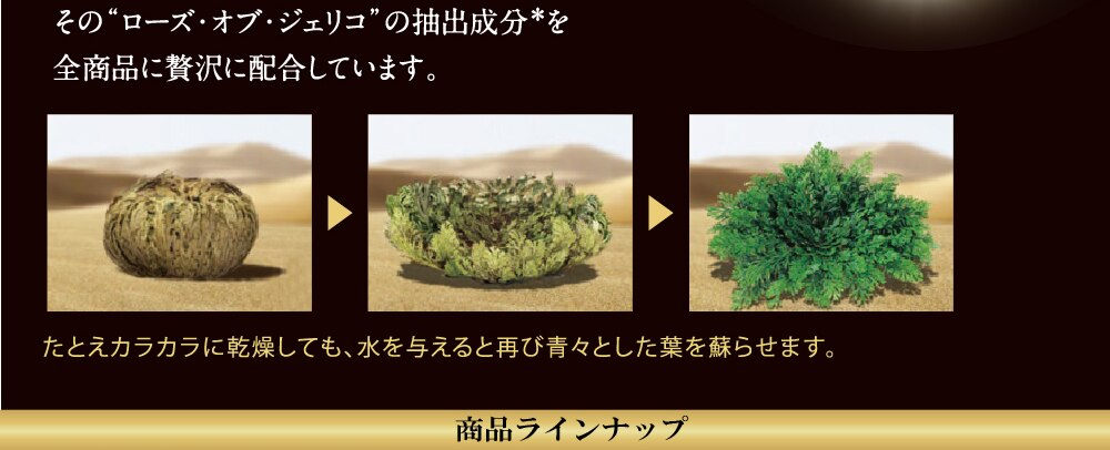 ラックス バイオフュージョン ブラック・ホワイト | ウエルシアドットコム