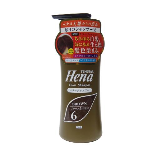 三宝　テンスター　カラーシャンプー　ダークブラウン　300ML　シャンプー