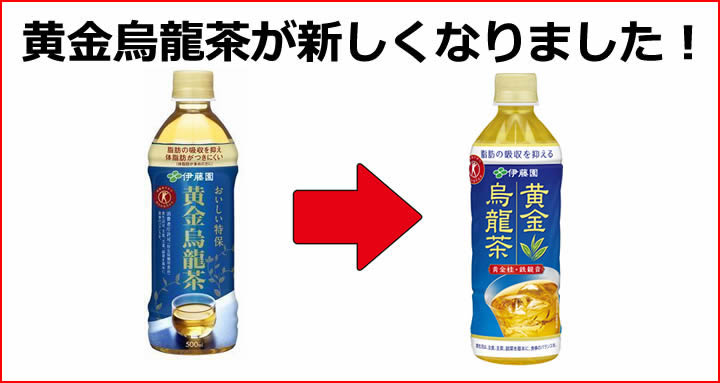 伊藤園 黄金烏龍茶 500ML×24個セット | ウエルシアドットコム