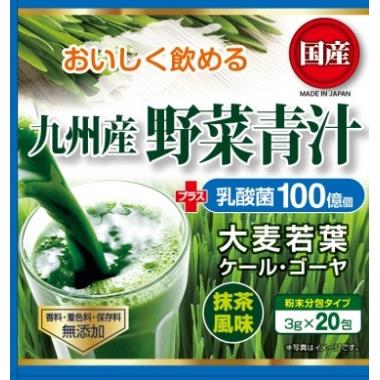 ヘルシーパートナー 九州産野菜青汁+乳酸菌 3G×20包