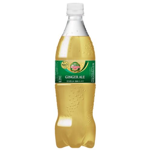 コカコーラ　カナダドライ　ジンジャーエール　700ML×20個セット
