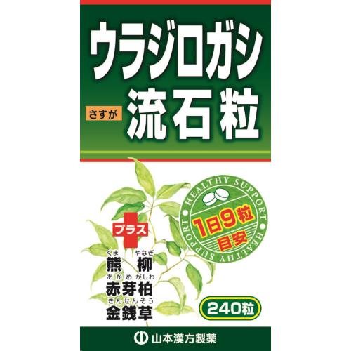 山本漢方　ウラジロガシ流石粒　240粒
