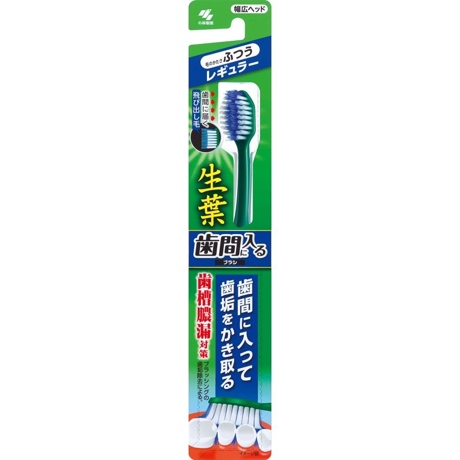 小林製薬　生葉　歯間に入るブラシ　レギュラー　ふつう　1本　歯ブラシ