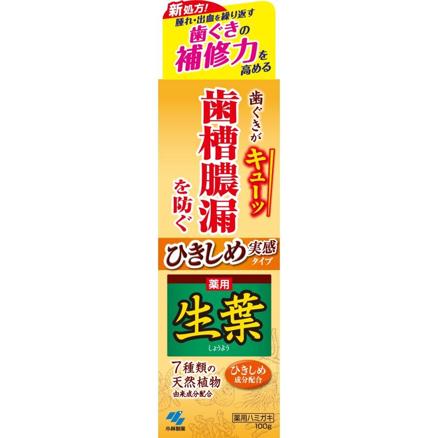 小林製薬　生葉　ひきしめ生葉hb　ひきしめ実感タイプ　100G　歯磨き粉