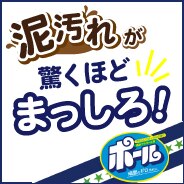 無リン　ポール