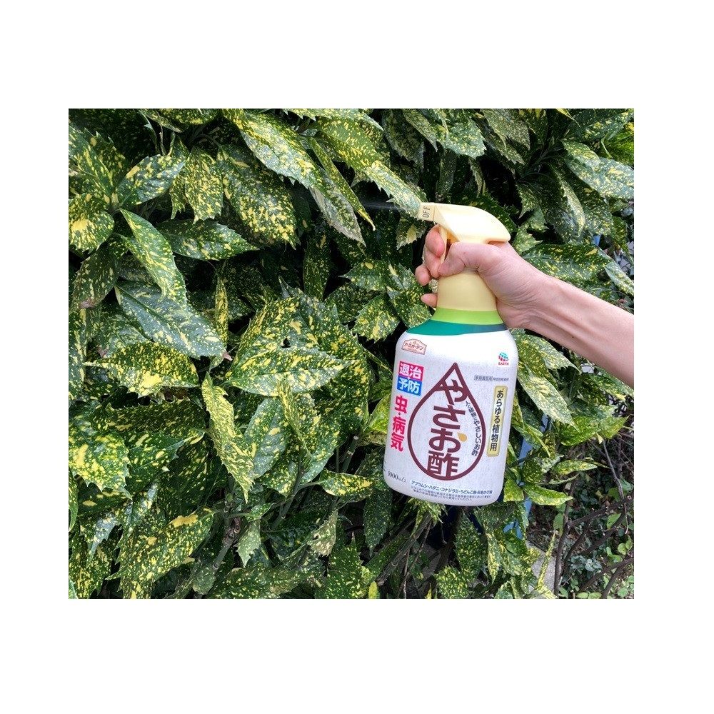 3個セット アース製薬 アースガーデン やさお酢 1000mL 家庭菜園などの