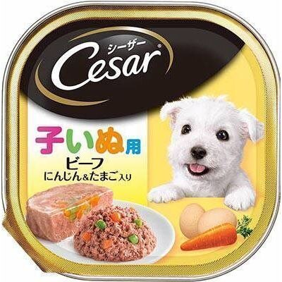 シーザー 子いぬ用 ビーフ にんじん&たまご入り 100g【4月30日までの期間特売】