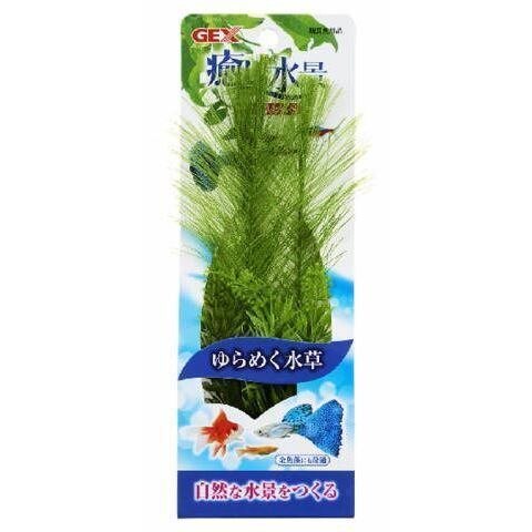 癒し水景 プランテリア ケヤリ草セットS