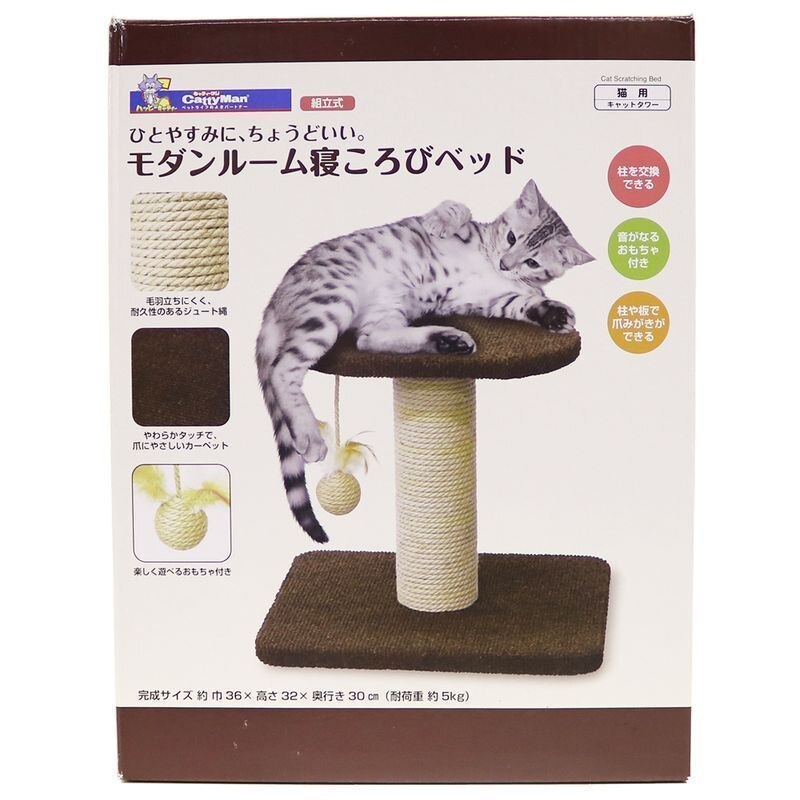 ドギーマンハヤシ　モダンルーム　寝ころびベッド