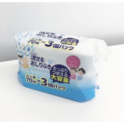 大一紙工　流せる大人用おしりふき　70枚×3個パック