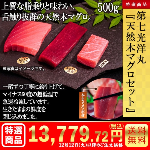 第七光洋丸　『天然本マグロセット』500g カタログ番号【6501】 早割り実施中10月10日までのご注文価格