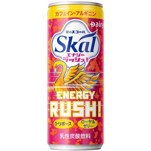 南日本酪農　スコールエナジーラッシュ　250ML×20個セット