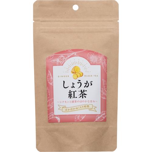 ゼンヤクノー　しょうが紅茶　10パック×5個セット