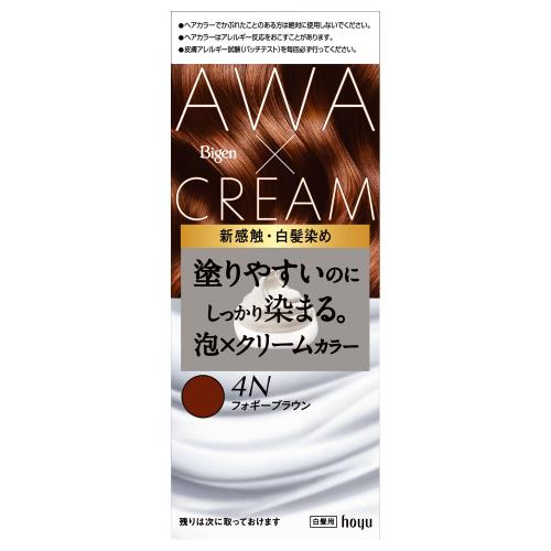 ホーユー　ビゲン泡クリーム　4N【ボーナスTポイント60ポイント】