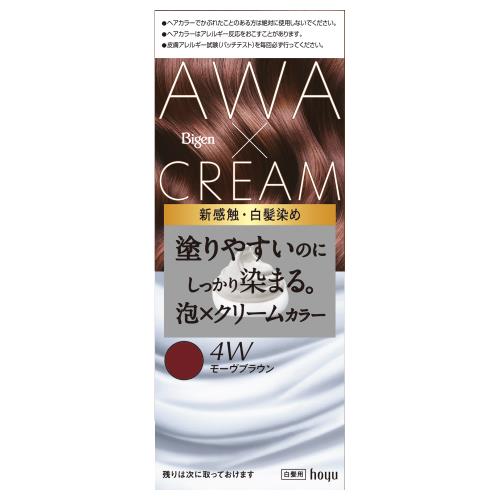 ホーユー　ビゲン泡クリーム　4W【ボーナスTポイント60ポイント】