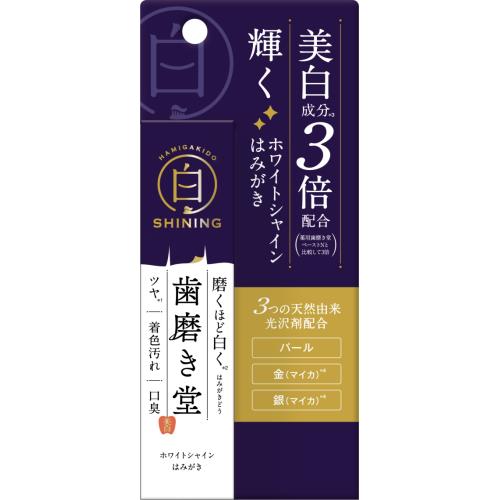 ブレッシン　歯磨き堂　ホワイトシャインはみがき　30g