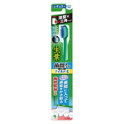 小林製薬　小林製薬生葉歯間ブラシマイルド毛　1本