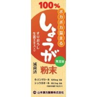 山本漢方　しょうが粉末　25g