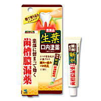 小林製薬　生葉口内塗薬　20g [第3類医薬品]