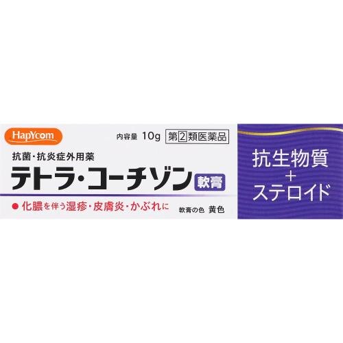 【指定第2類医薬品】テトラ・コーチゾン軟膏　10g