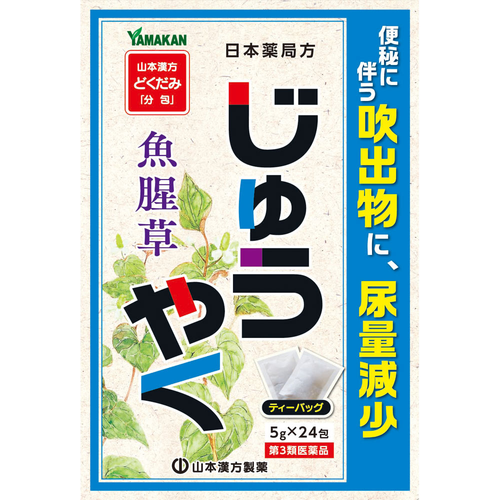 【第3類医薬品】日本薬局方 ジュウヤク　120g(5g×24包)