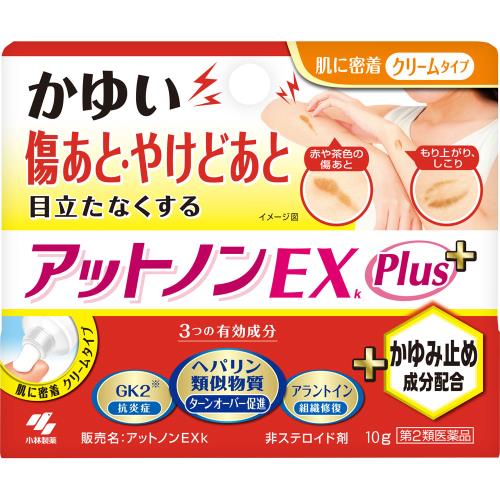 【第2類医薬品】アットノンEXk　Plus　10g