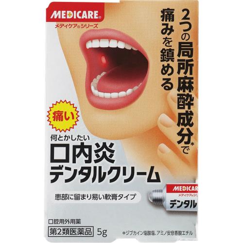【第2類医薬品】デンタルクリーム　5g