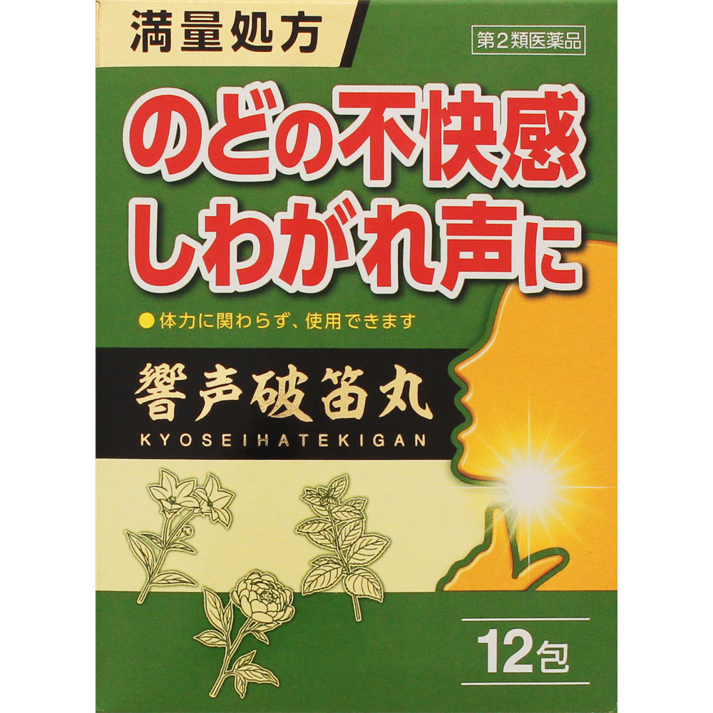 響 声 破 笛 丸 飲み 合わせ